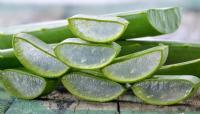 Herbalife Herbal Aloe Concentrate Drink