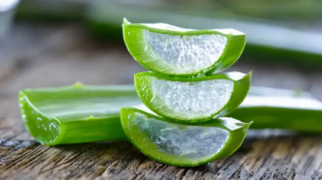 Herbalife Herbal Aloe Concentrate Drink