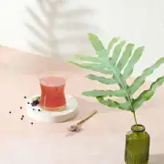 Herbalife Pro-Core Elderberry Flavoured